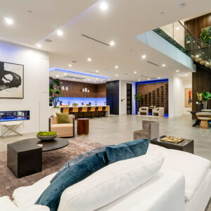 Bel Air Project - Living Room Audio and Smart Home System